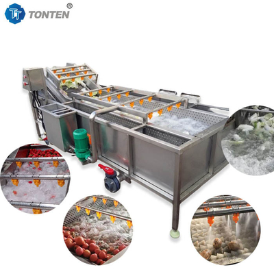 440V Gıda Temizleme Makinesi Zeytin Avokado için Endüstriyel Sebze Yıkama Makinesi