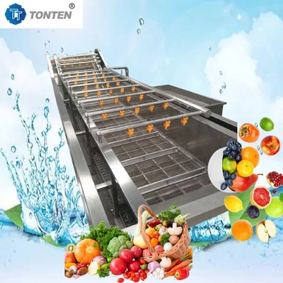 440V Gıda Temizleme Makinesi Zeytin Avokado için Endüstriyel Sebze Yıkama Makinesi