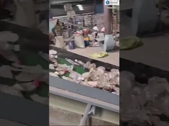 Sert Yumuşak Plastik Pul Yıkama Geri Dönüşüm Hattı PET Plastik Geri Dönüşümü